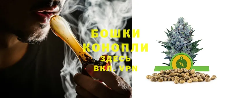 даркнет сайт  Боровичи  Конопля марихуана 